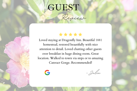 Picture5-star google review from recent guest