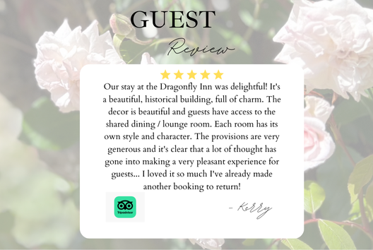 5-star Tripadvisor review from recent guestPicture