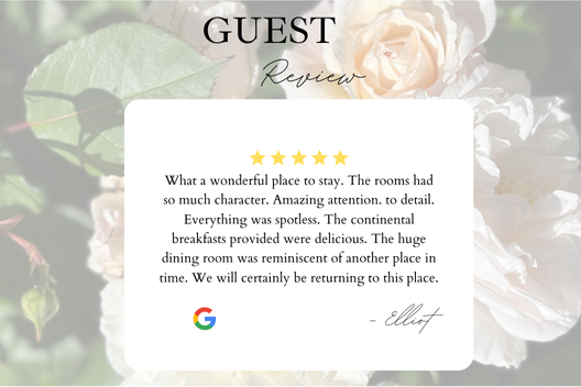 5-star google review from recent guest